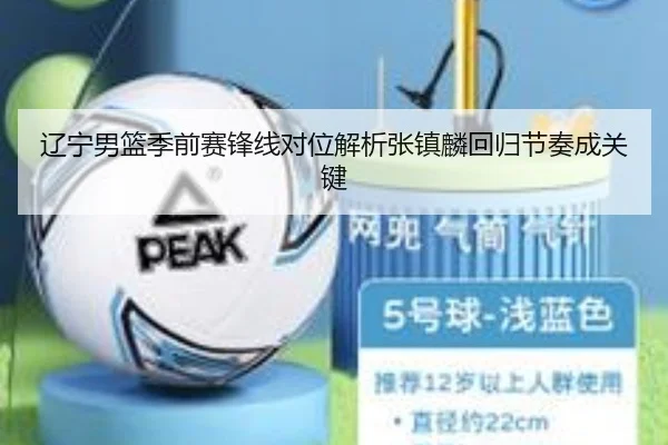 辽宁男篮季前赛锋线对位解析张镇麟回归节奏成关键